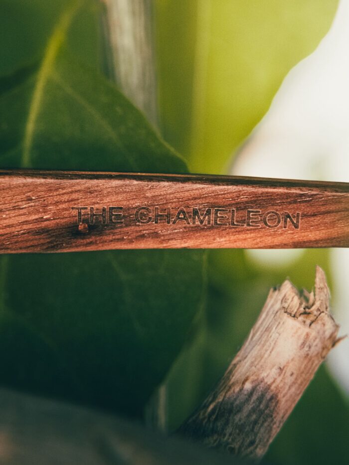 Wooden Sunglasses - ECLIPSE - Image 5